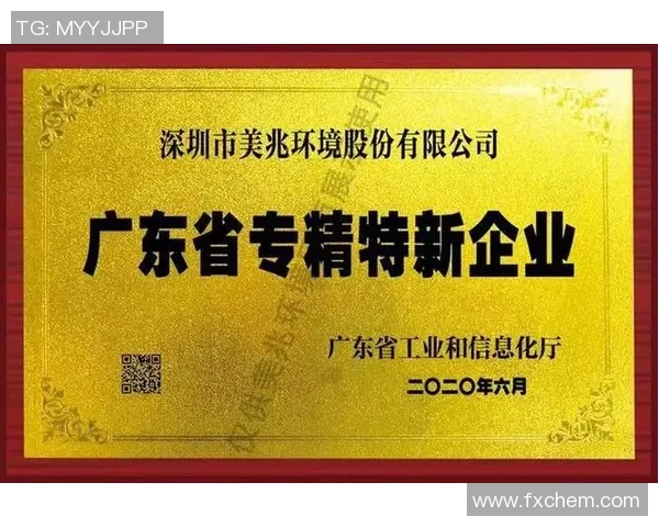 冠军杯特别报道：LNG战队的辉煌征程与突破性成就回顾