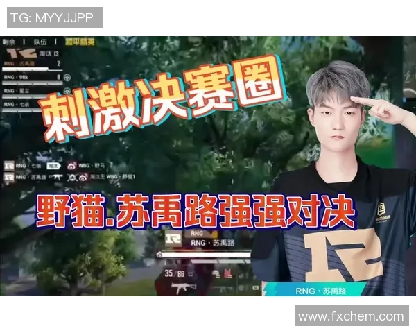 和平精英战术分析：深入探讨RNG在比赛中的盯防策略与执行